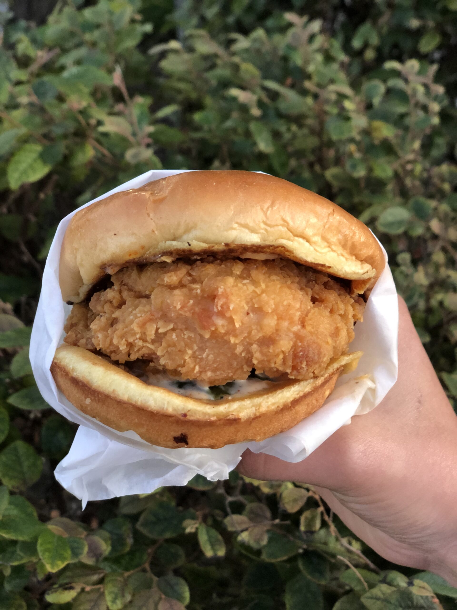 The Popeyes fried chicken sandwich on a brioche bun held in hand, the product that sold out nationwide in 2019